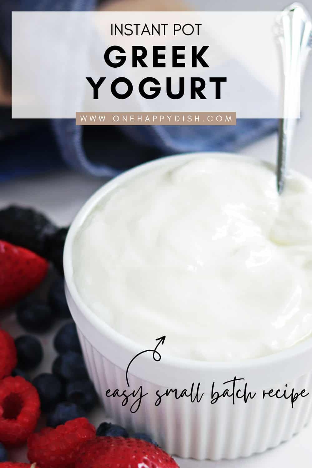 Homemade Greek yogurt in a ceramic white dish.