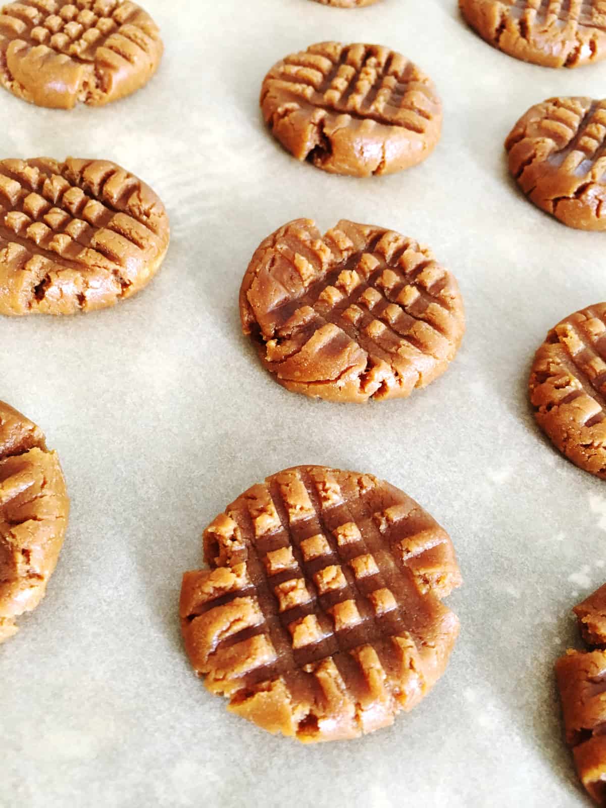 Close up of peanut butter cookies with a crisscross design on their tops.