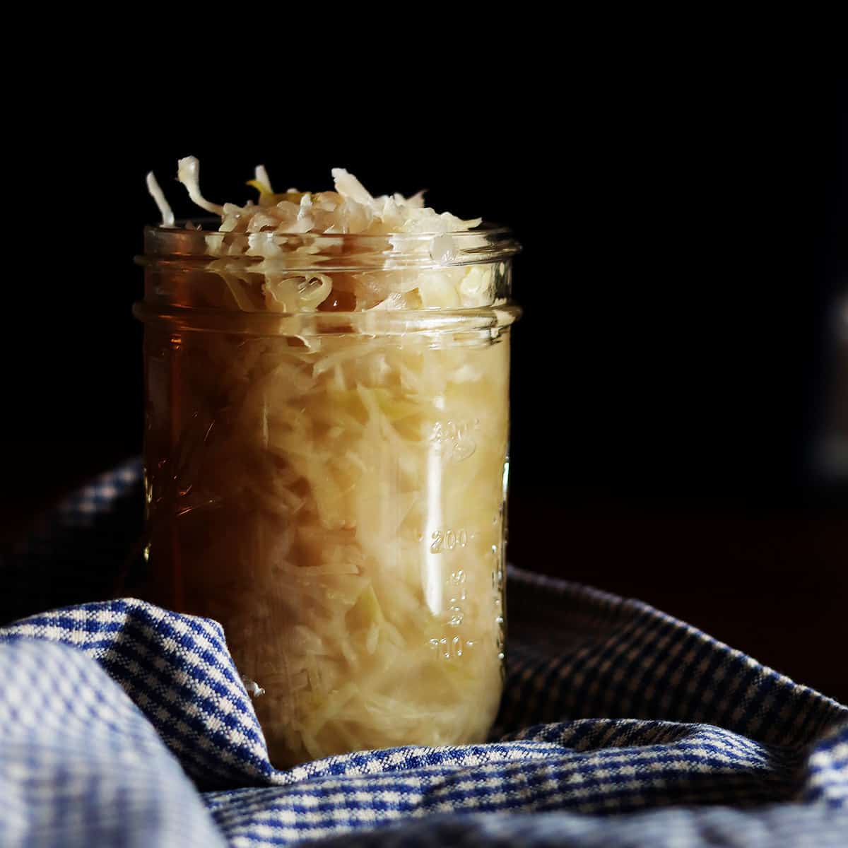 How to Make Sauerkraut LaptrinhX / News