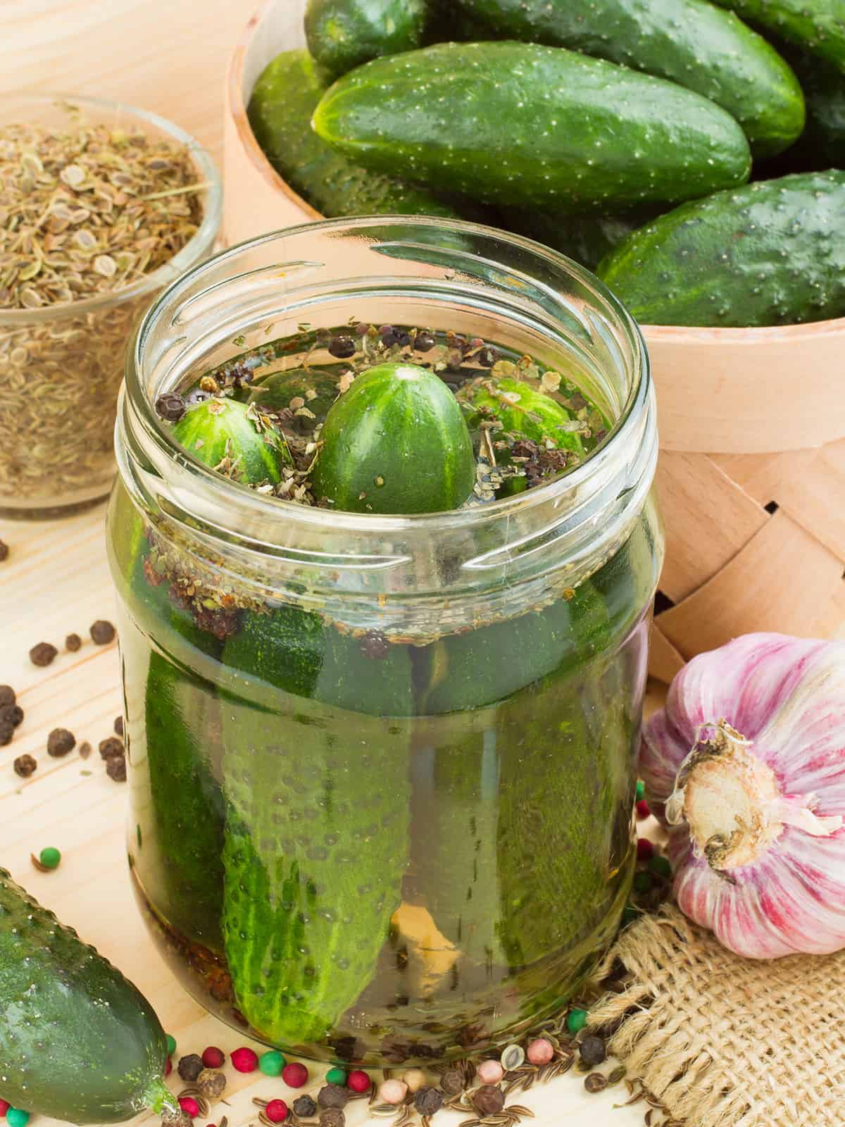 Pickling cucumbers, peppercorns, garlic and pickling spices in a salt brine filled glass jar and atop an unfinished wood table.