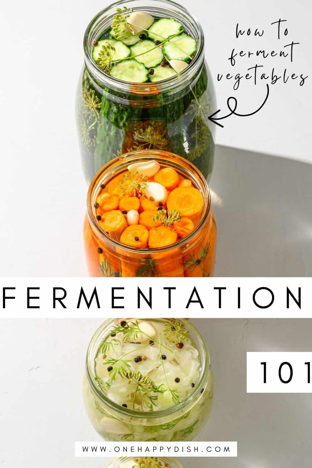 Homemade pickles, fermented carrots, sauerkraut and fermented garlic in glass jars.