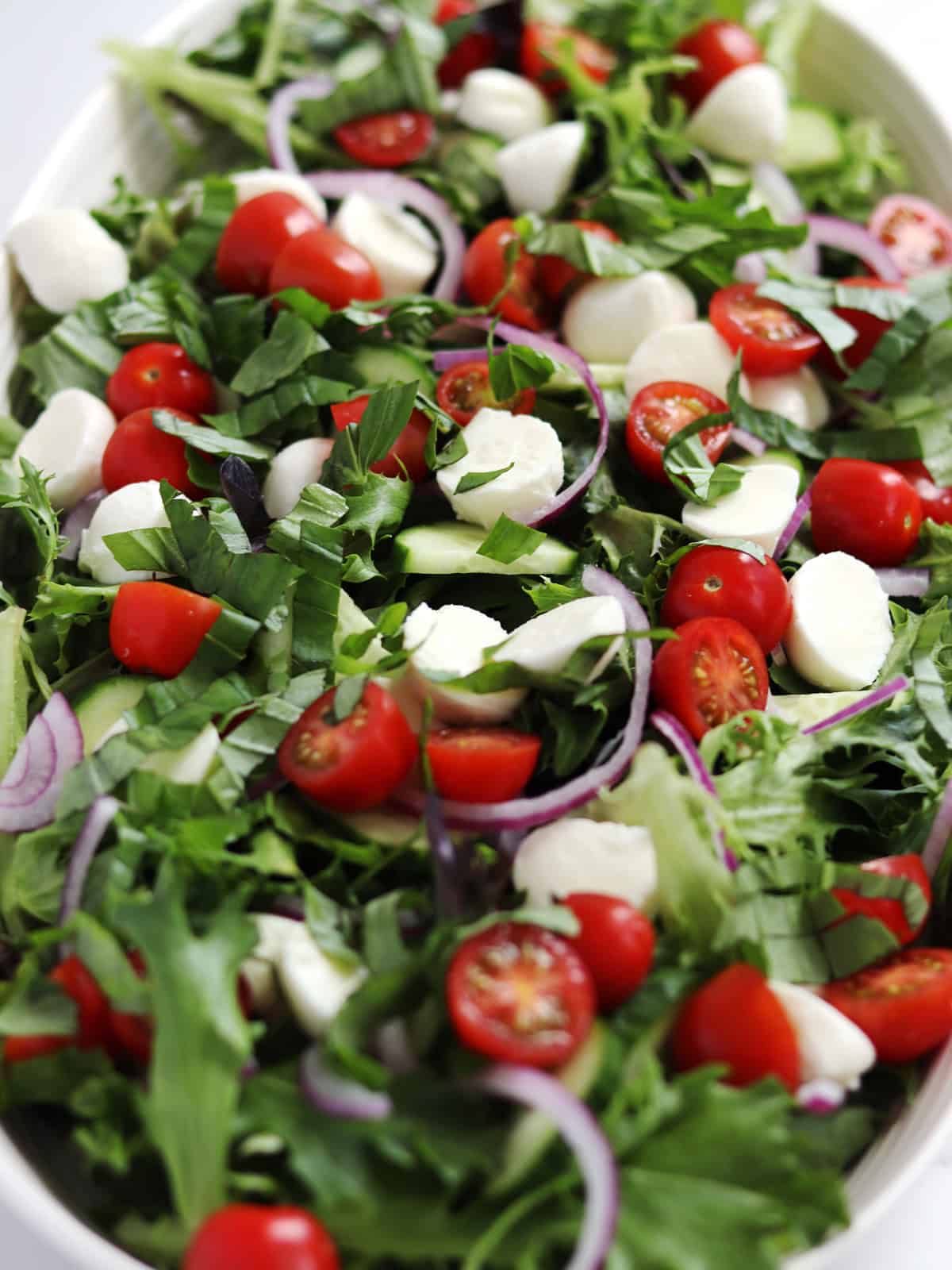 Baby mozzarella, cherry tomatoes, sliced red onion and cucumbers on mixed salad greens.