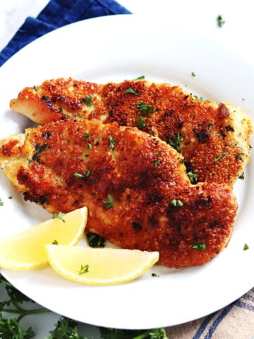 Two Parmesan crusted chicken breasts on a white plate.