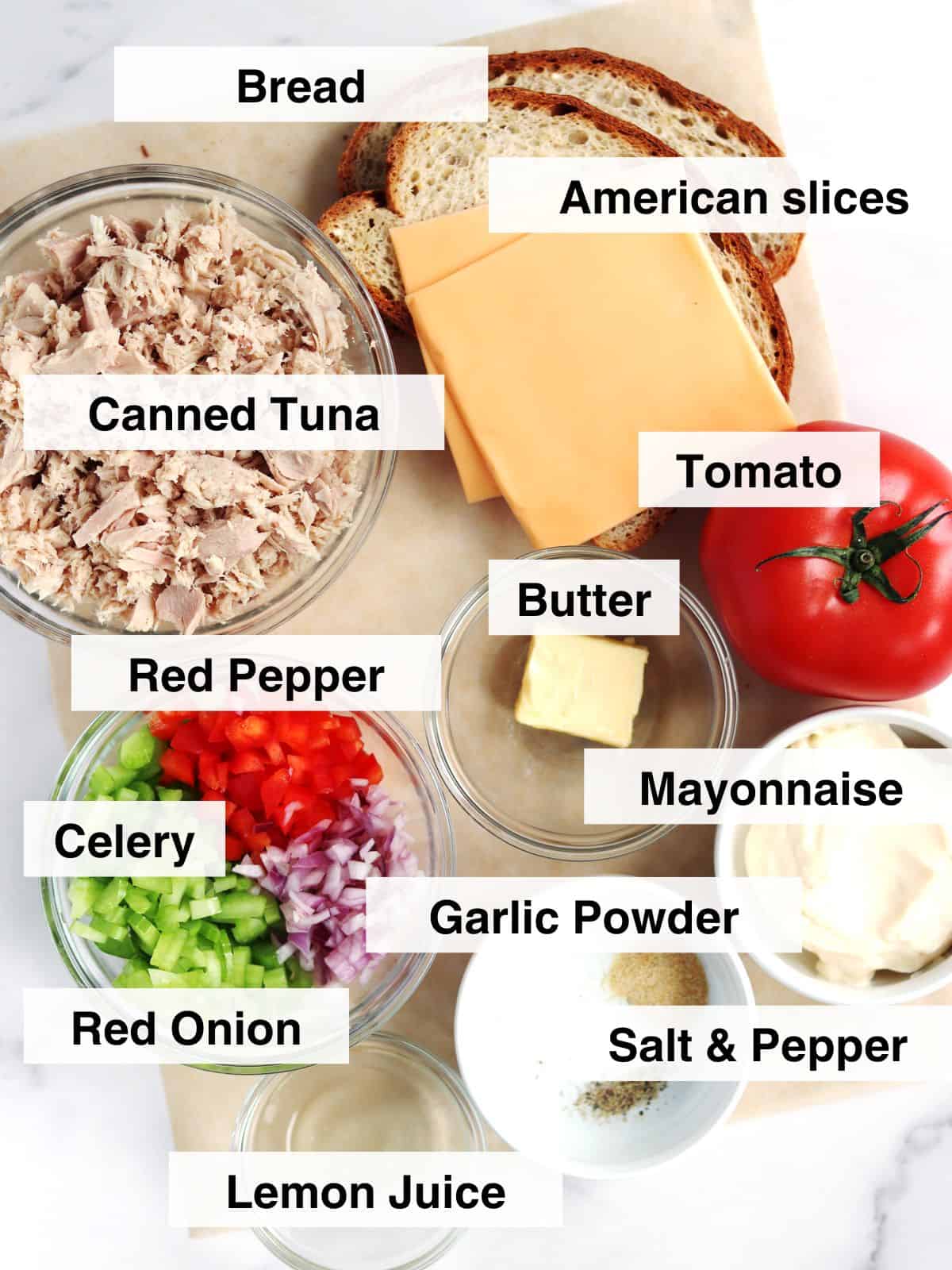 Top-down view of labeled ingredients for a tuna sandwich, including bread, American cheese, canned tuna, tomato, red pepper, butter, mayonnaise, celery, red onion, garlic powder, salt, pepper, and lemon juice.