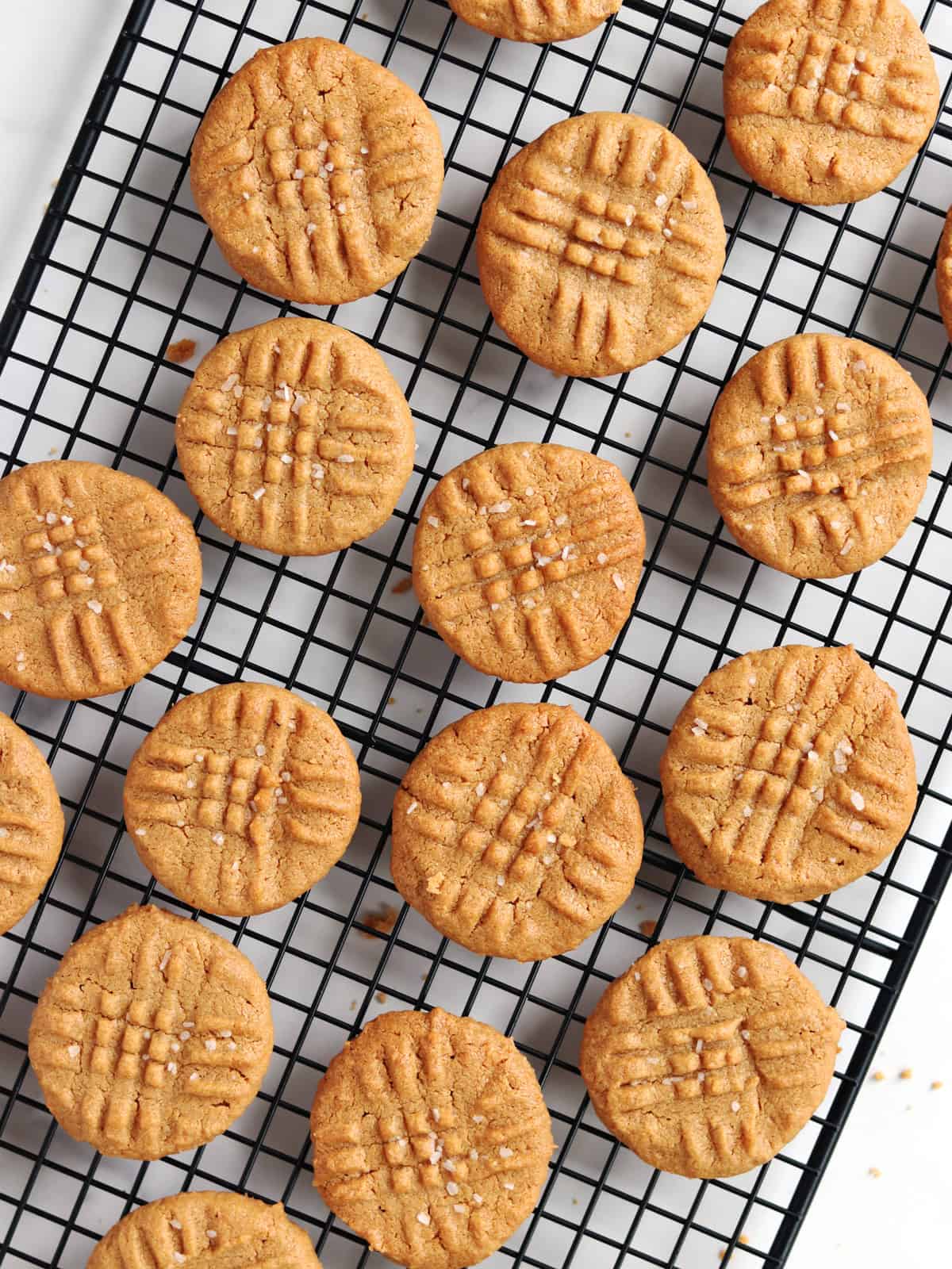 Round peanut butter cookies with crisscross fork marks are arranged on a black cooling rack. Cookies are sprinkled with coarse salt on top, set against a white background.