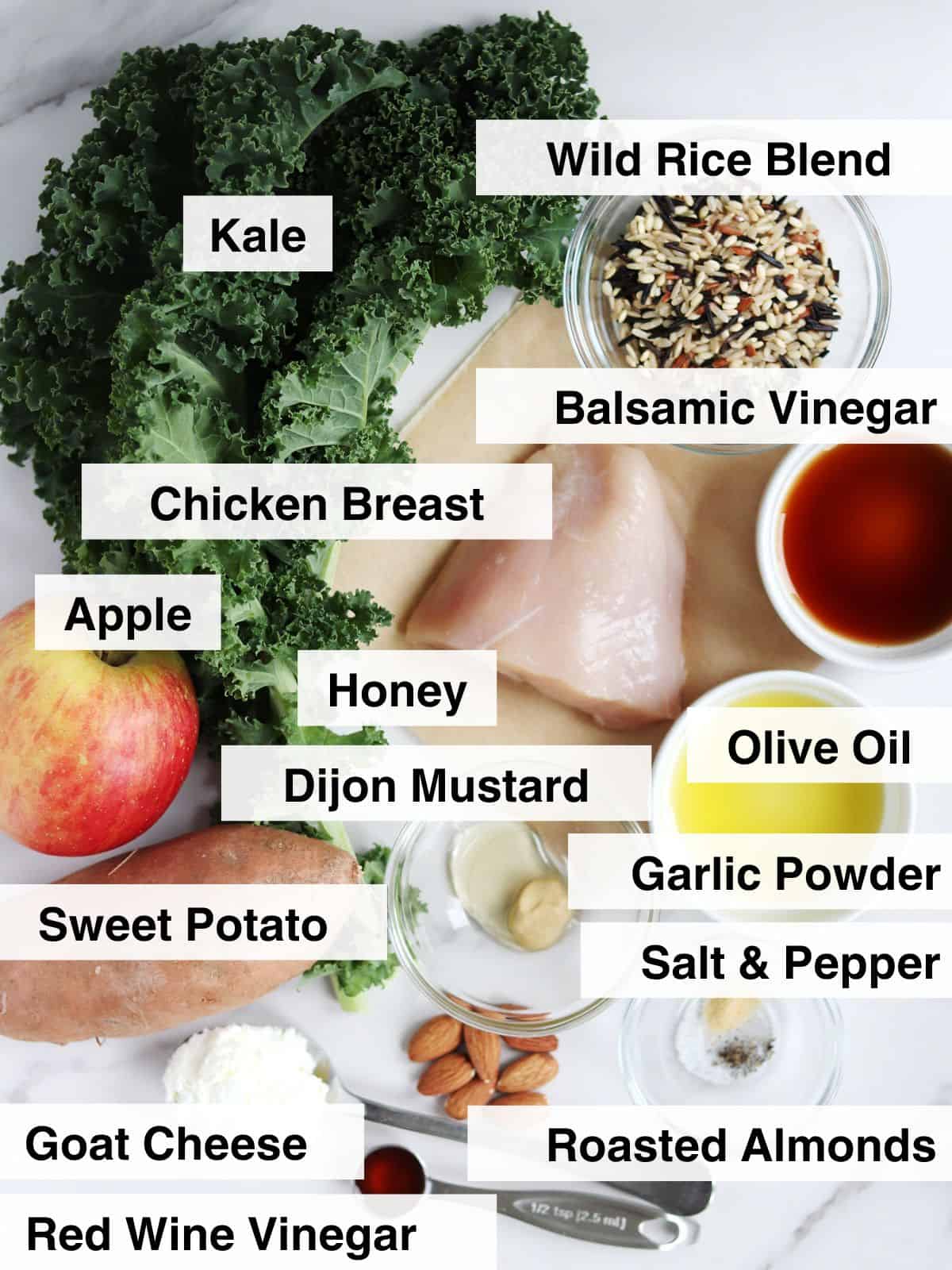 Top-down view of labeled ingredients for a Harvest Bowl on a white surface, including kale, wild rice blend, chicken breast, apple, sweet potato, goat cheese, roasted almonds, balsamic and red wine vinegar, honey, Dijon mustard, and seasonings.